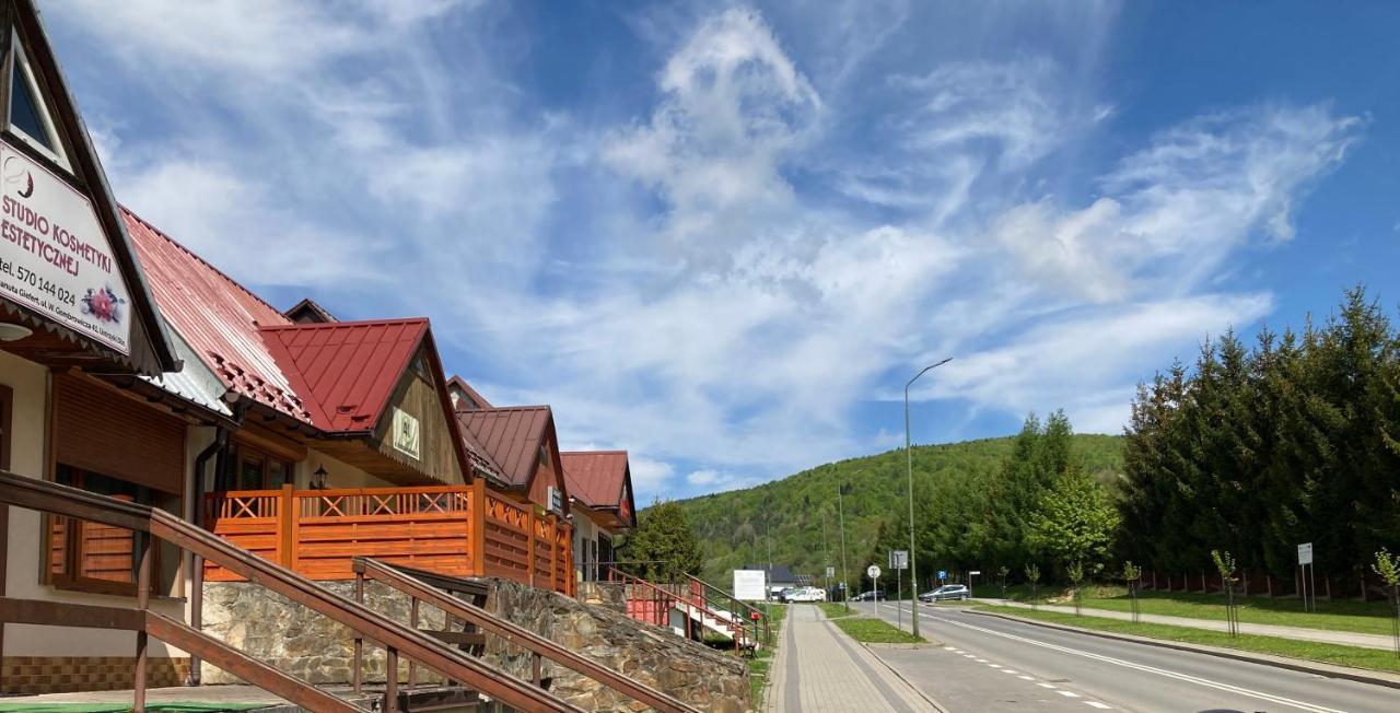 Apartament Dla Dwojga Ustrzyki Dolne Luaran gambar